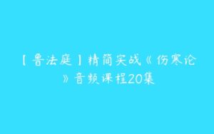 【鲁法庭】精简实战《伤寒论》音频课程20集-51自学联盟