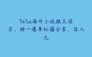 TikTok海外小说推文项目，榜一爆单秘籍分享，日入几-51自学联盟