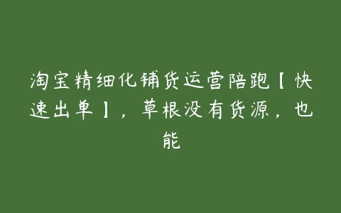 淘宝精细化铺货运营陪跑【快速出单】，草根没有货源，也能百度网盘下载