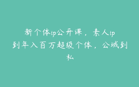 新个体ip公开课，素人ip到年入百万超级个体，公域到私百度网盘下载