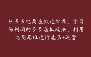 拼多多电商虚拟进阶课，学习高利润的多多虚拟玩法，利用电商思维进行选品+运营-51自学联盟