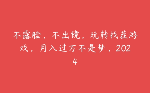 不露脸，不出镜，玩转找茬游戏，月入过万不是梦，2024百度网盘下载