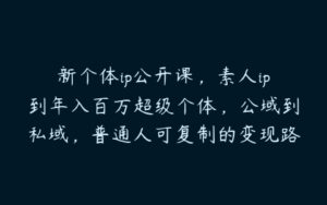 新个体ip公开课，素人ip到年入百万超级个体，公域到私域，普通人可复制的变现路径拆解-51自学联盟