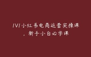 1V1小红书电商运营实操课，新手小白必学课-51自学联盟