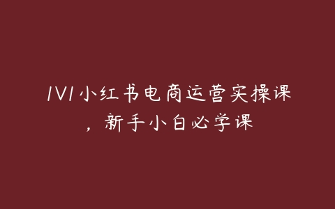 1V1小红书电商运营实操课，新手小白必学课百度网盘下载