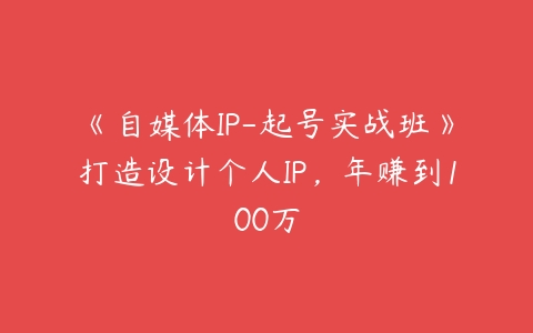 《自媒体IP-起号实战班》打造设计个人IP，年赚到100万百度网盘下载