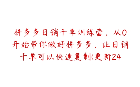 拼多多日销千单训练营，从0开始带你做好拼多多，让日销千单可以快速复制(更新24年8月)百度网盘下载