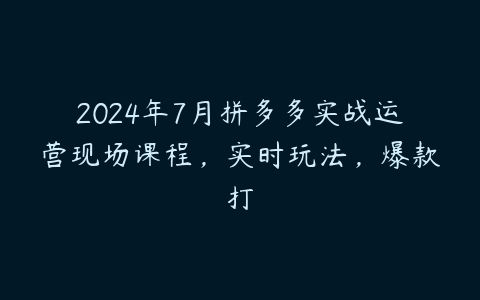 2024年7月拼多多实战运营现场课程，实时玩法，爆款打百度网盘下载