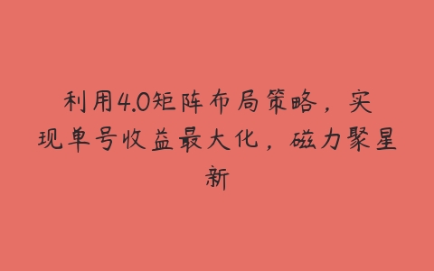 利用4.0矩阵布局策略，实现单号收益最大化，磁力聚星新百度网盘下载