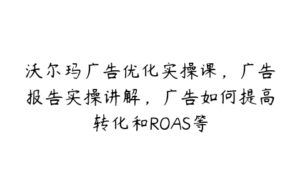 沃尔玛广告优化实操课，广告报告实操讲解，广告如何提高转化和ROAS等-51自学联盟