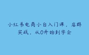 小红书电商小白入门课，店群实战，从0开始到学会-51自学联盟