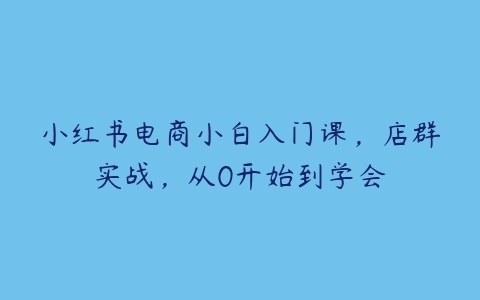 小红书电商小白入门课，店群实战，从0开始到学会-51自学联盟