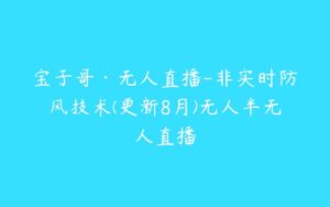 宝子哥·无人直播-非实时防风技术(更新8月)无人半无人直播-51自学联盟