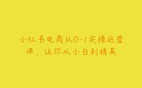 小红书电商从0-1实操运营课，让你从小白到精英-51自学联盟