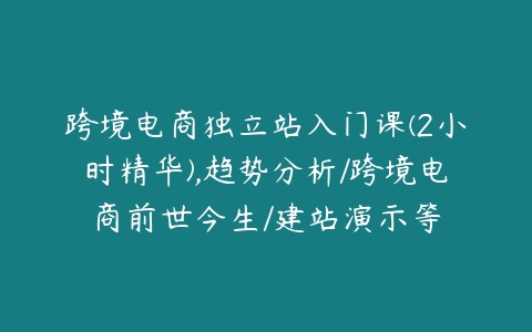 跨境电商独立站入门课(2小时精华),趋势分析/跨境电商前世今生/建站演示等课程资源下载