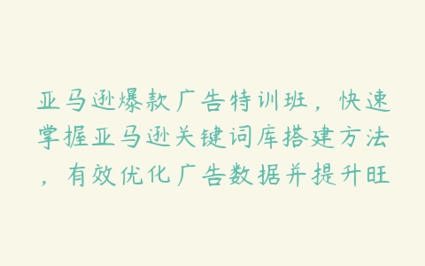 亚马逊爆款广告特训班，快速掌握亚马逊关键词库搭建方法，有效优化广告数据并提升旺季销量-51自学联盟