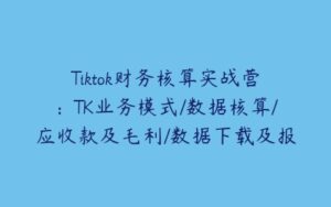 Tiktok财务核算实战营：TK业务模式/数据核算/应收款及毛利/数据下载及报表-51自学联盟