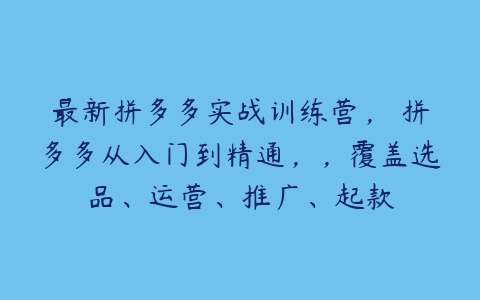 最新拼多多实战训练营， 拼多多从入门到精通，，覆盖选品、运营、推广、起款百度网盘下载