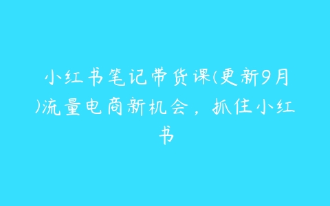 小红书笔记带货课(更新9月)流量电商新机会，抓住小红书百度网盘下载