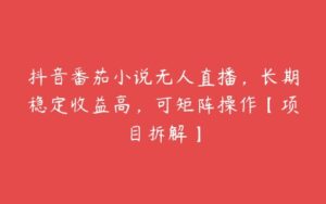 抖音番茄小说无人直播，长期稳定收益高，可矩阵操作【项目拆解】-51自学联盟