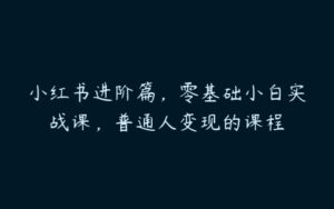 小红书进阶篇，零基础小白实战课，普通人变现的课程-51自学联盟