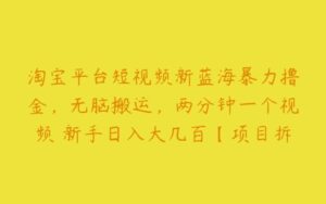 淘宝平台短视频新蓝海暴力撸金，无脑搬运，两分钟一个视频 新手日入大几百【项目拆解】-51自学联盟