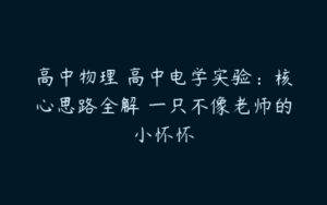 高中物理 高中电学实验：核心思路全解 一只不像老师的小怀怀-51自学联盟