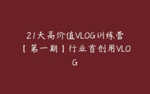 21天高价值VLOG训练营【第一期】行业首创用VLOG-51自学联盟