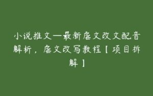 小说推文—最新虐文改文配音解析，虐文改写教程【项目拆解】-51自学联盟