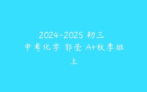 2024-2025 初三 中考化学 郭莹 A+秋季班上-51自学联盟