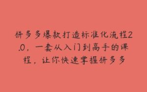 拼多多爆款打造标准化流程2.0，一套从入门到高手的课程，让你快速掌握拼多多-51自学联盟