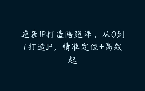 逆袭IP打造陪跑课，从0到1打造IP，精准定位+高效起百度网盘下载