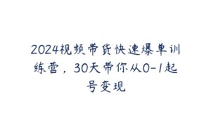 2024视频带货快速爆单训练营，30天带你从0-1起号变现-51自学联盟