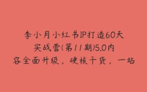 李小月小红书IP打造60天实战营(第11期)5.0内容全面升级，硬核干货，一站式引流变现系统课-51自学联盟