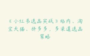 《小红书选品实战》站内、淘宝天猫、拼多多，多渠道选品策略-51自学联盟