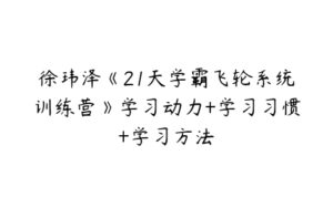 徐玮泽《21天学霸飞轮系统训练营》学习动力+学习习惯+学习方法-51自学联盟