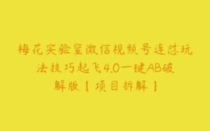 梅花实验窒微信视频号连怼玩法技巧起飞4.0一键AB破解版【项目拆解】-51自学联盟