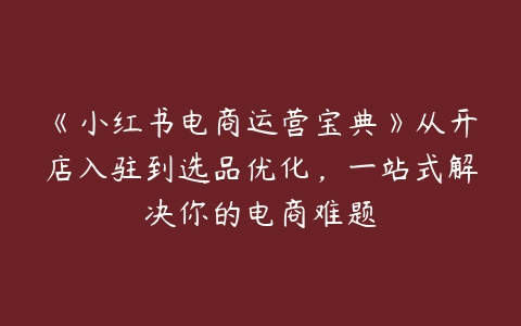 《小红书电商运营宝典》从开店入驻到选品优化，一站式解决你的电商难题-51自学联盟