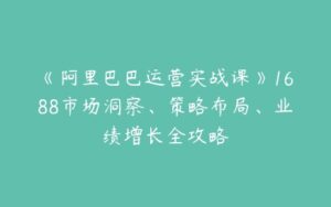 《阿里巴巴运营实战课》1688市场洞察、策略布局、业绩增长全攻略-51自学联盟