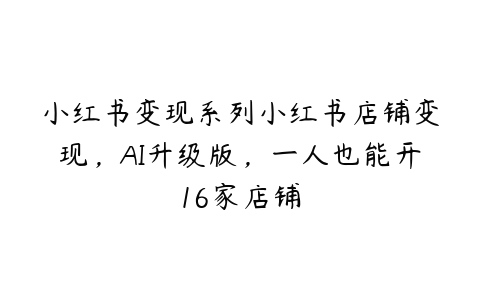 小红书变现系列小红书店铺变现，AI升级版，一人也能开16家店铺百度网盘下载