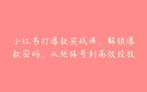 小红书打爆款实战课，解锁爆款密码，从矩阵号到高效投放-51自学联盟