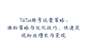 TikTok账号运营策略：涨粉策略与优化技巧，快速实现粉丝增长与变现-51自学联盟