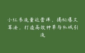 小红书流量运营课，揭秘爆文算法，打造高效种草与私域引流-51自学联盟