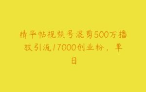 精华帖视频号混剪500万播放引流17000创业粉，单日-51自学联盟