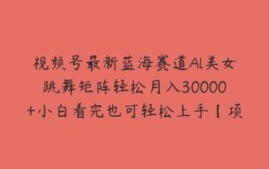 视频号最新蓝海赛道Al美女跳舞矩阵轻松月入30000+小白看完也可轻松上手【项目拆解】-51自学联盟