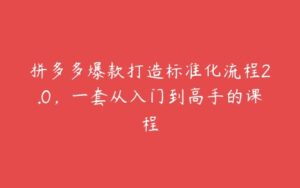 拼多多爆款打造标准化流程2.0，一套从入门到高手的课程-51自学联盟