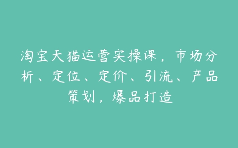 图片[1]-淘宝天猫运营实操课，市场分析、定位、定价、引流、产品策划，爆品打造-本文