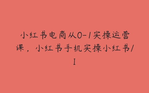 小红书电商从0-1实操运营课，小红书手机实操小红书/I百度网盘下载