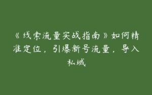 《线索流量实战指南》如何精准定位，引爆新号流量，导入私域-51自学联盟