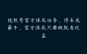 视频号官方保底任务，停车我最牛，官方保底只要做就有收益-51自学联盟